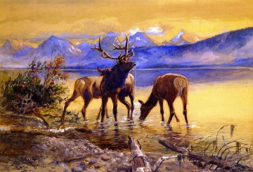 elk in lake mcdonald 1906 Charles Marion Russell deer Oil Paintings